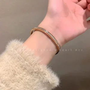 Titanium Steel Bracelet